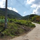 차만술행정사사무소 이미지