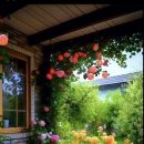 웃음치료사 양성반 이미지