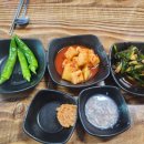 혼디2 Daum카페