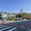 꿈의숲 스타약국 | 아이와 북서울 꿈의숲🌳 놀이터 많은 공원, 주차 팁까지!