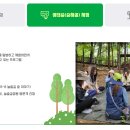 늘솔길숲이야기 이미지