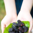 오디한의원 이미지