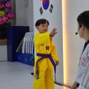 위너스태권도장 | 심사 이상의 감동, 진영위너스 2025 공개심사 현장 스토리”