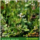 황새농장 티스토리