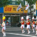 디지털희망칼라