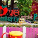 딸기안마시술소 이미지