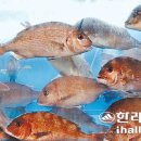 서문공설시장 - 청주시 상당구 | 서문공설시장