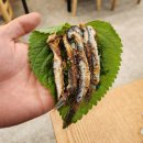 만기네밥집 | 송도 밥집 바다를쌈하다 허영만백만기행 맛집 멸치요리의 향연