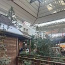 찬쓰 | 더 현대 크리스마스 팝업 아뜰리에 드 노엘 후기 | 근제베이커리 카스테라