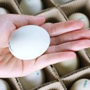 순천청계농장 이미지