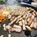 돼지대학교 이미지