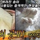 소비자 고발, 당신의 잠자리가 위험합니다!! 이미지