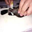 양포슈퍼 이미지