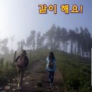 다사랑산악회(81차)정기산행 후기 이미지