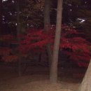 금강공원 이미지