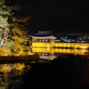 주상절리횟집 이미지