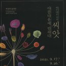 백두대간 자생씨앗 아름다움에 반하다 시사코리아저널