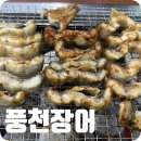남영미굴국밥&풍천장어,덮밥 | “창원 상남동 맛집 남영미굴국밥 &amp;풍천장어 — 통영산 생굴·삼합·굴국밥 겨울 제철 맛 제대로 느낀...