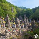 수다산=송암사=500여 기의 돌탑이 빚어내는 장관 이미지