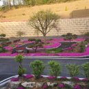 정원치매노인요양센터 이미지