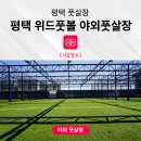 위드풋볼