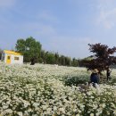 오늘여기 이미지