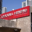 더(THE)청춘 이미지