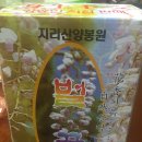 지리산양봉원 이미지