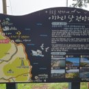 솔밭쉼터 - 영월군 선돌길 46 | 솔밭쉼터
