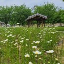 데이지 - 거제시 고현로8길 22 | 데이지