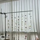 흥덕중앙로 | [리뷰]용인 수원 광교 아기 백일 촬영 후기 ‘마음껏 스튜디오’