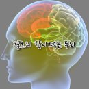 조례태권도장 이미지