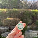 헬로동물병원 | 헬로마이펫 멍뭉 산책가는 길 ㅣ 해충방지템 ㅣ 다이소 꿀템 ㅣ찐사용후기