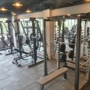 BODY愛(바디애) 이미지