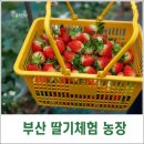 꽃길을 따라서 체험학습장 이미지