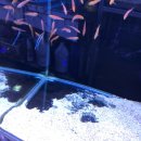 신반포로45길 59 이미지