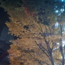 영창고무 | 파주 운정에서 종로 인사동 그랜드피아노 운반 후기