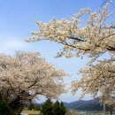 모량농장 이미지