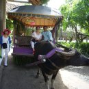 에스농장 이미지