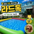 라드독 애견미용실 | [성남 애견운동장] 100% 만족 라드독 카페 이용요금, 주차, 구역별 총정리 (실내, 소형견, 대형견존)