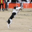 (주)에코비즈넷 이미지