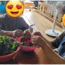 보람재가노인복지센터 이미지