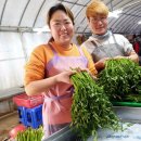 빛나농장 이미지