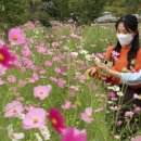 평화공원 이미지