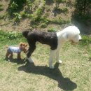 루비카페 이미지