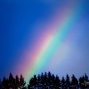 무지개 이미지