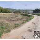 청주투자닷컴공인중개사사무소 이미지