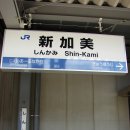 이선지선