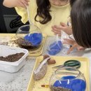 의정부어린이도서관 | [의정부 테라리움] 어린이 도서관 테라리움 클래스 후기