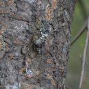 성산근린공원 이미지